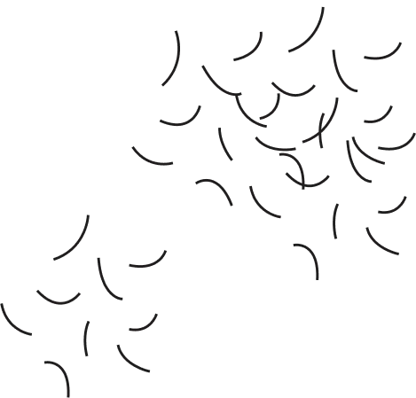 Hair Loss Introduction